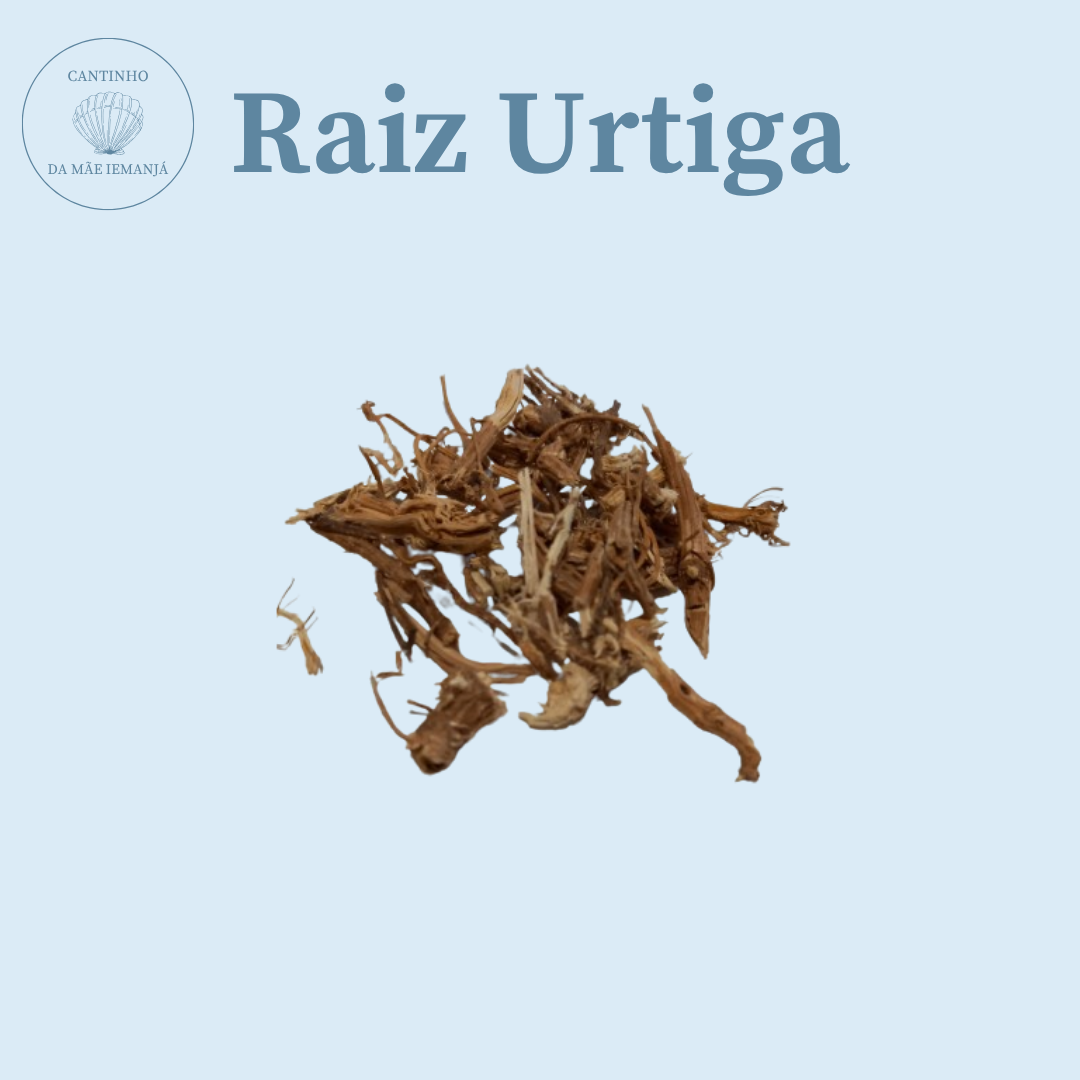Raiz Urtiga